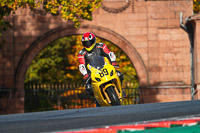 anglesey;brands-hatch;cadwell-park;croft;donington-park;enduro-digital-images;event-digital-images;eventdigitalimages;mallory;no-limits;oulton-park;peter-wileman-photography;racing-digital-images;silverstone;snetterton;trackday-digital-images;trackday-photos;vmcc-banbury-run;welsh-2-day-enduro